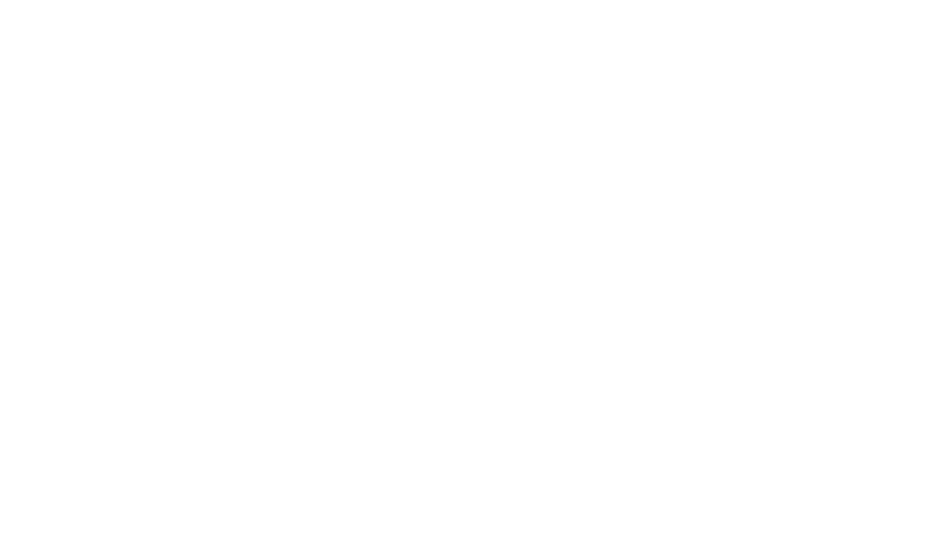 LOGO WaffenTaxi.de